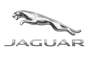 JAGUAR (ягуар) защита двигателя, кпп, подкрылки, накладки на арки